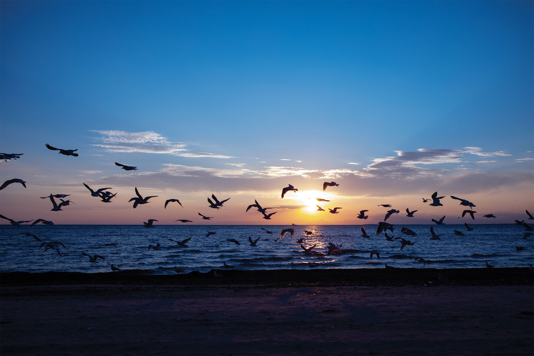 WoodlawnBeach_StephenGabris17.jpg